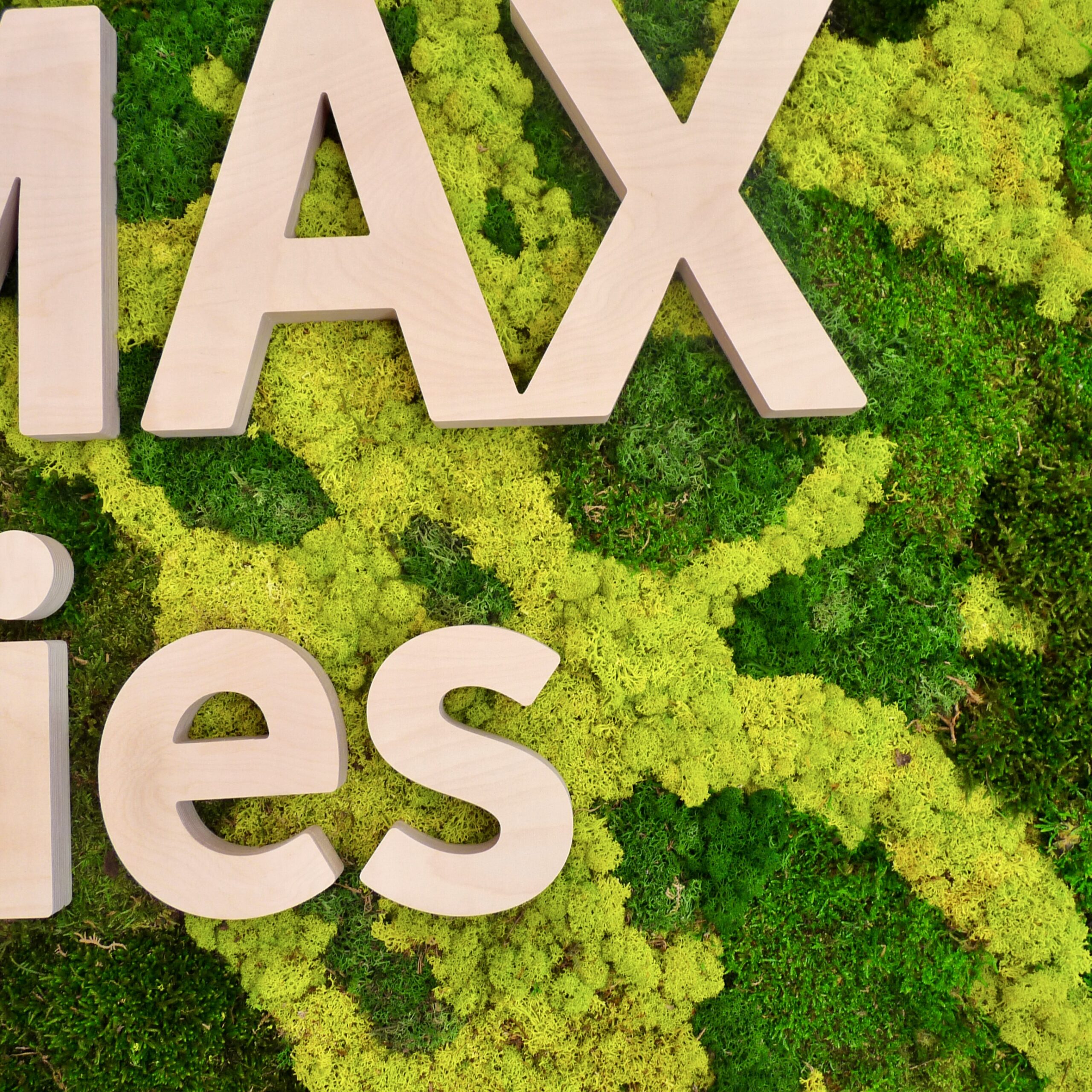 Zoom sur le logo végétal intégré à l’aménagement du showroom de l’artisan.