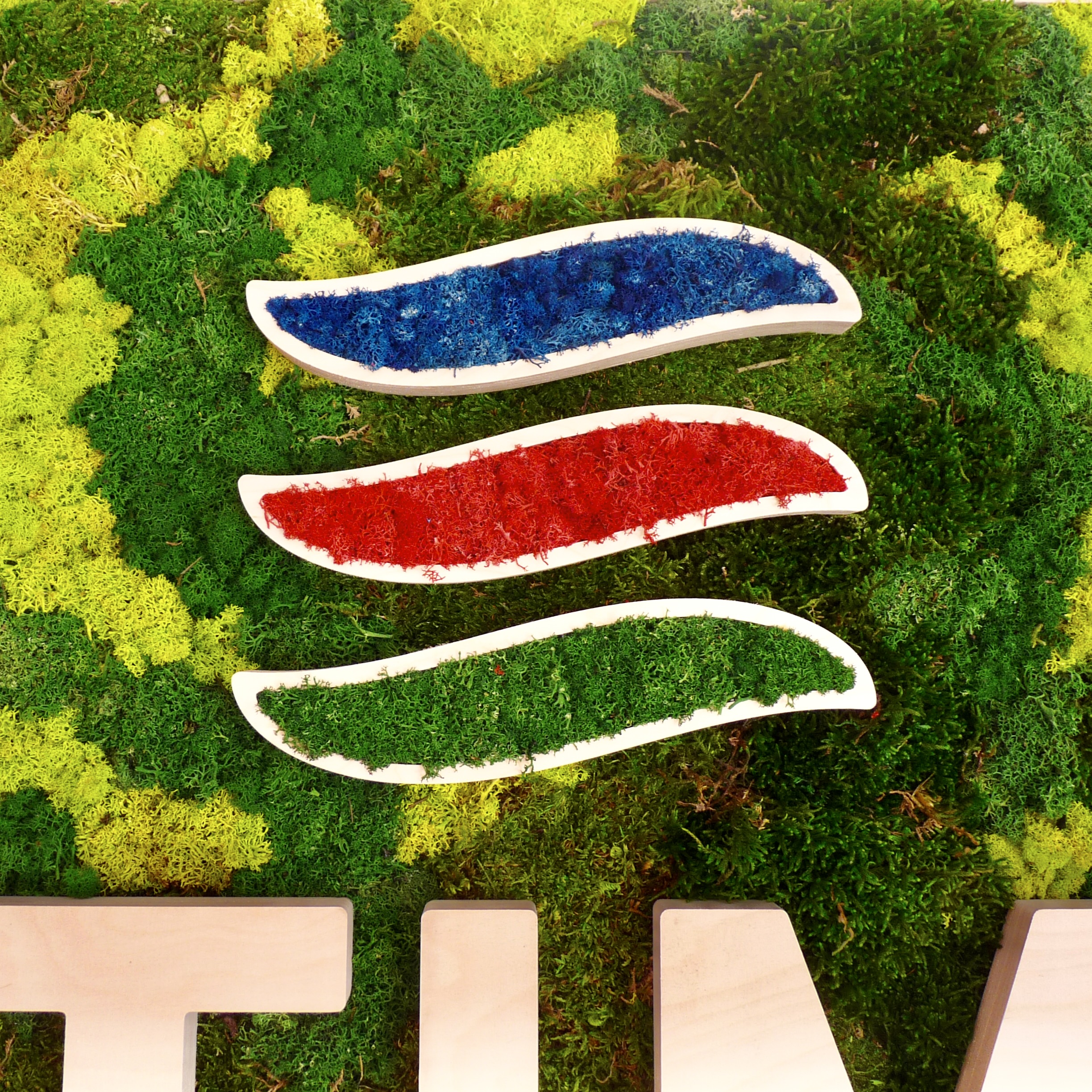 Zoom sur le logo végétal intégré à l’aménagement du showroom de l’artisan.